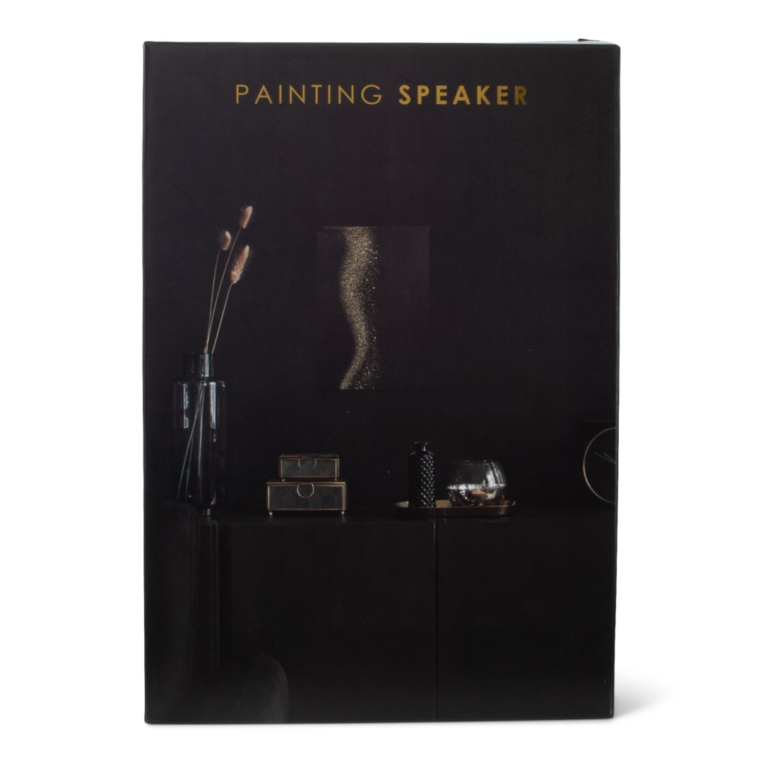 Painting Speaker (17929)
