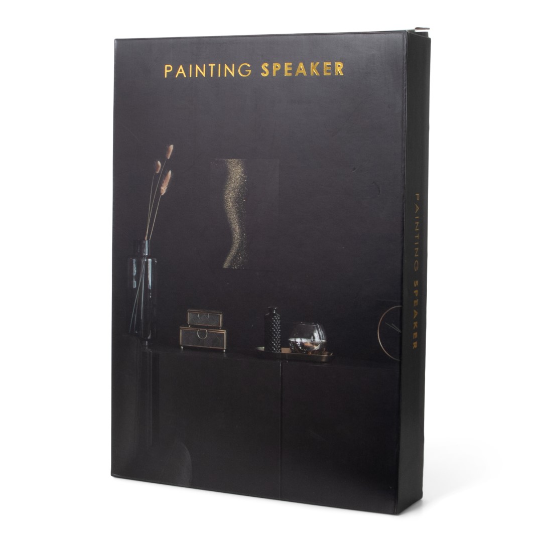 Painting Speaker (17929)