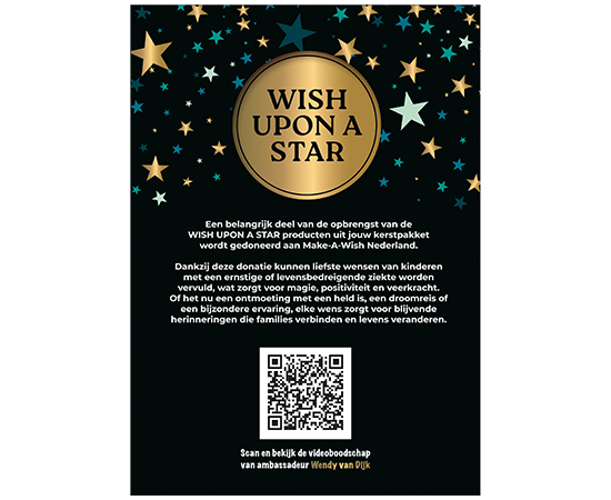 WISH  FLYER          1x (98759)