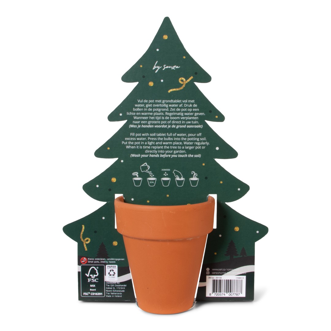 25103 SENZA Groei Je Eigen Kerstboom